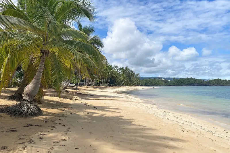 Las Terrenas: Las Ballenas